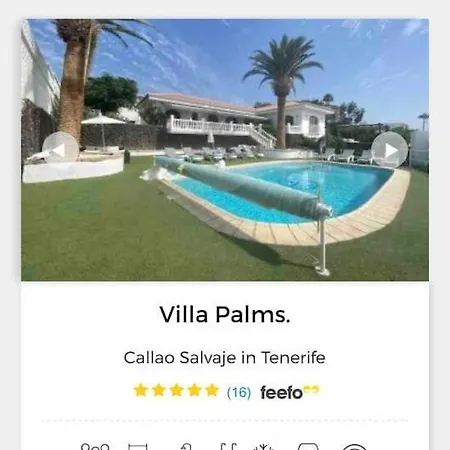 Palms Callao Salvaje