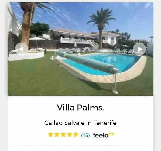 Palms كالاو سالفاجي